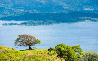 Costa Rica: o destino sustentável e selvagem que você precisa conhecer