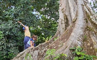Guia do viajante responsável